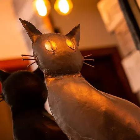 Feriehus Alba Regia Catarthome - Private Pool *